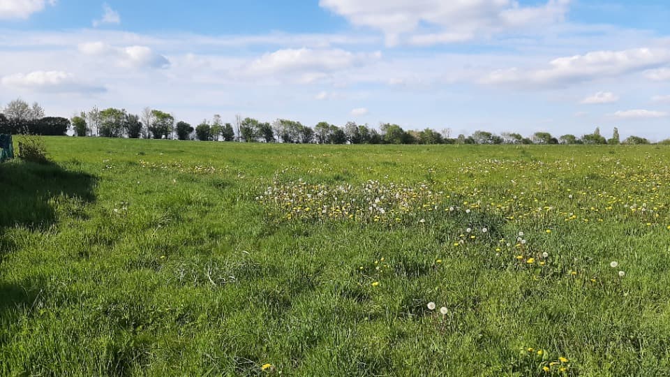 Terrain - Terrain à bâtir () à Aigné (72), prix 96 000 €
