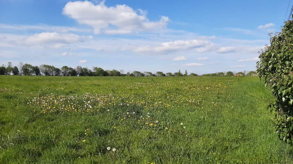 Terrain - Terrain à bâtir  () à Aigné (72), prix 70 500 €