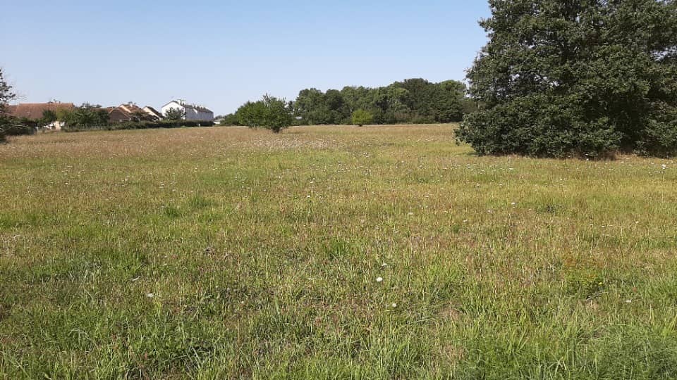 Terrain - Terrain à bâtir  () à Roézé-sur-Sarthe (72), prix 48 100 €