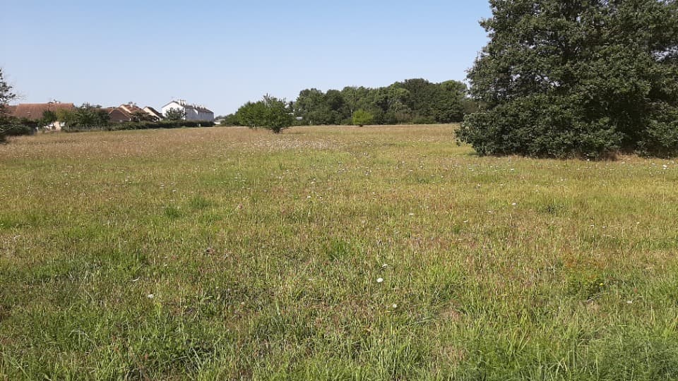 Terrain - Terrain à bâtir () à Roézé-sur-Sarthe (72), prix 48 100 €