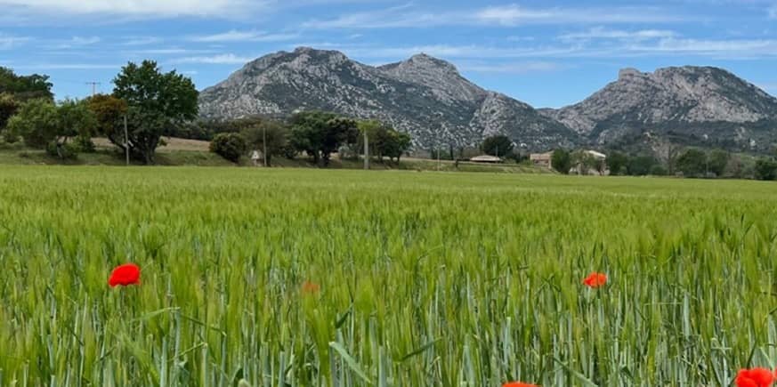 Terrain - Terrain à bâtir Salon-de-Provence (13300) à Salon-de-Provence, prix 154 900 €