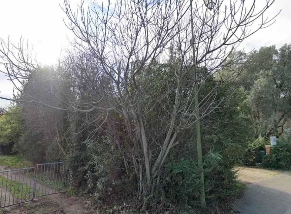 Terrain - Terrain à bâtir  () à Mallemort (13), prix 198 000 €