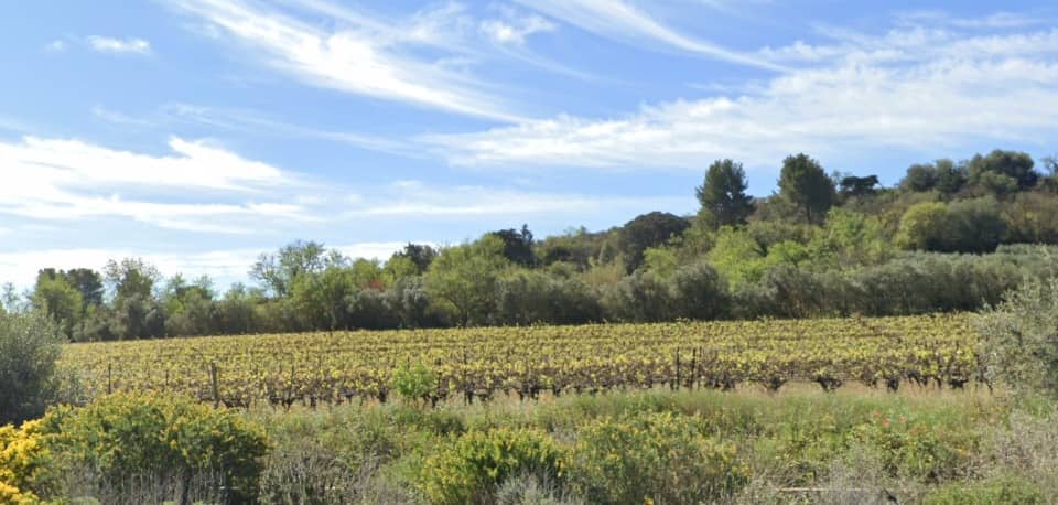 Terrain - Terrain à bâtir  () à Ginestas (11), prix 76 900 €