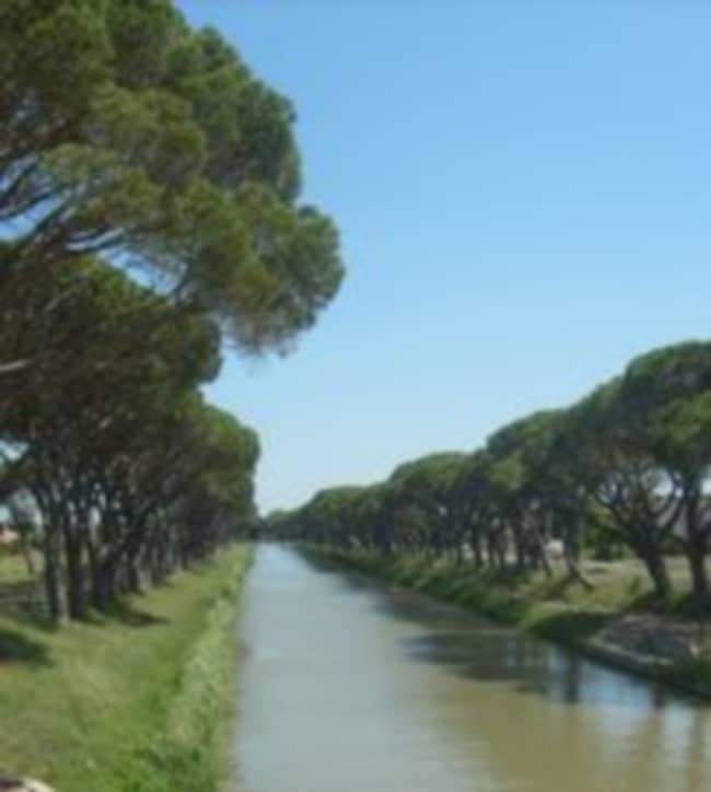 Terrain - Terrain à bâtir Sallèles-d'Aude (11590) à Sallèles-d'Aude (11), prix 112 000 €