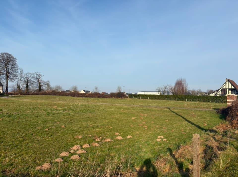 Terrain - Terrain à bâtir Auberville-la-Campagne (76170) à Auberville-la-Campagne (76), prix 69 000 €