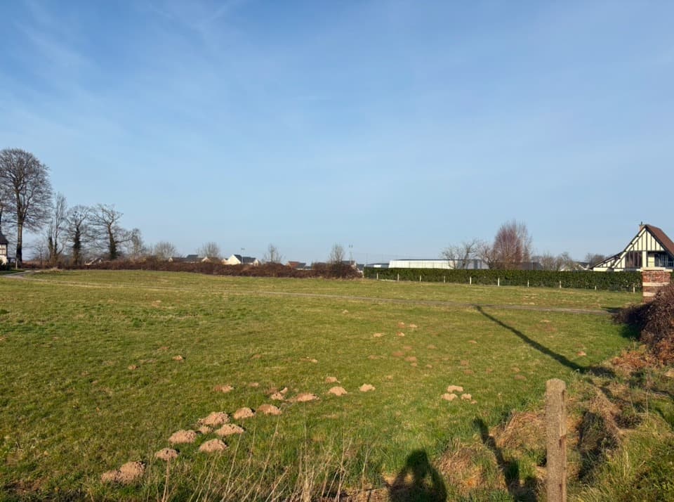 Terrain - Terrain à bâtir Auberville-la-Campagne (76170) à Auberville-la-Campagne (76), prix 69 000 €