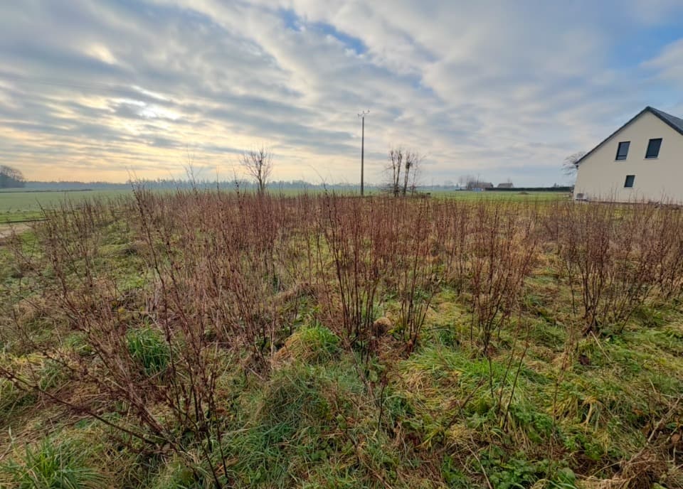 Maison neuve - Terrain à bâtir Auzebosc (76190) à Auzebosc (76), prix 260 374 €