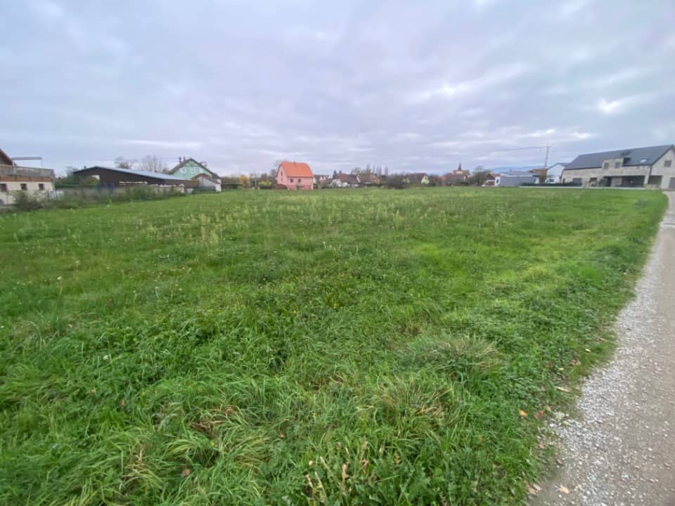 Terrain - Terrain à bâtir Guémar (68970) à Guémar, prix 105 500 €