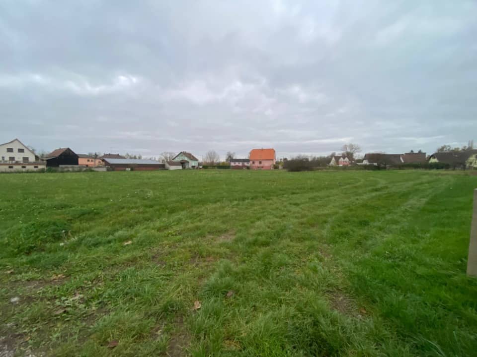 Terrain - Terrain à bâtir Guémar (68970) à Guémar (68), prix 96 500 €