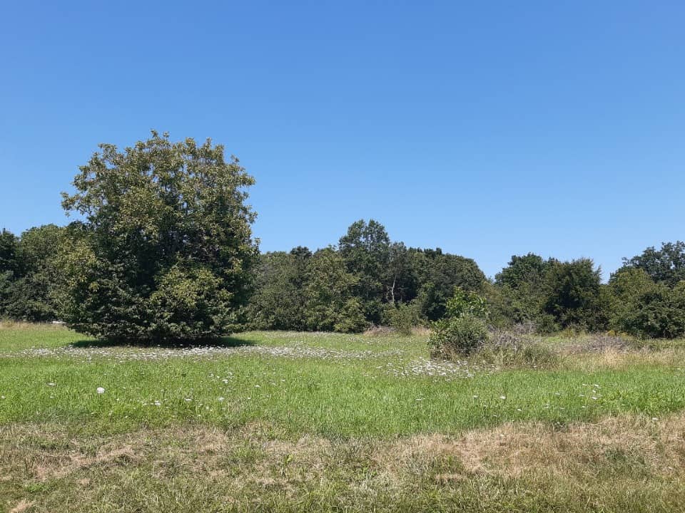 Terrain - Terrain à bâtir Ottersthal (67700) à Ottersthal (67), prix 95 500 €