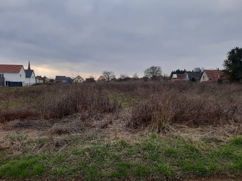 Terrain - Terrain à bâtir Steinbourg (67790) à Steinbourg (67), prix 84 000 €