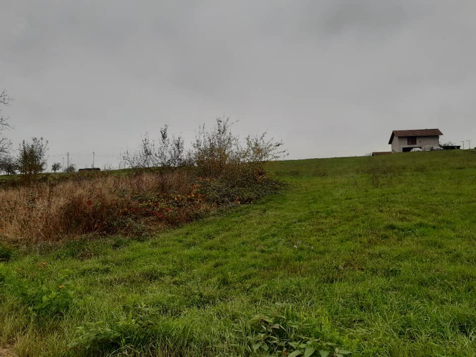 Terrain - Terrain à bâtir Zinswiller (67110) à Zinswiller, prix 95 000 €