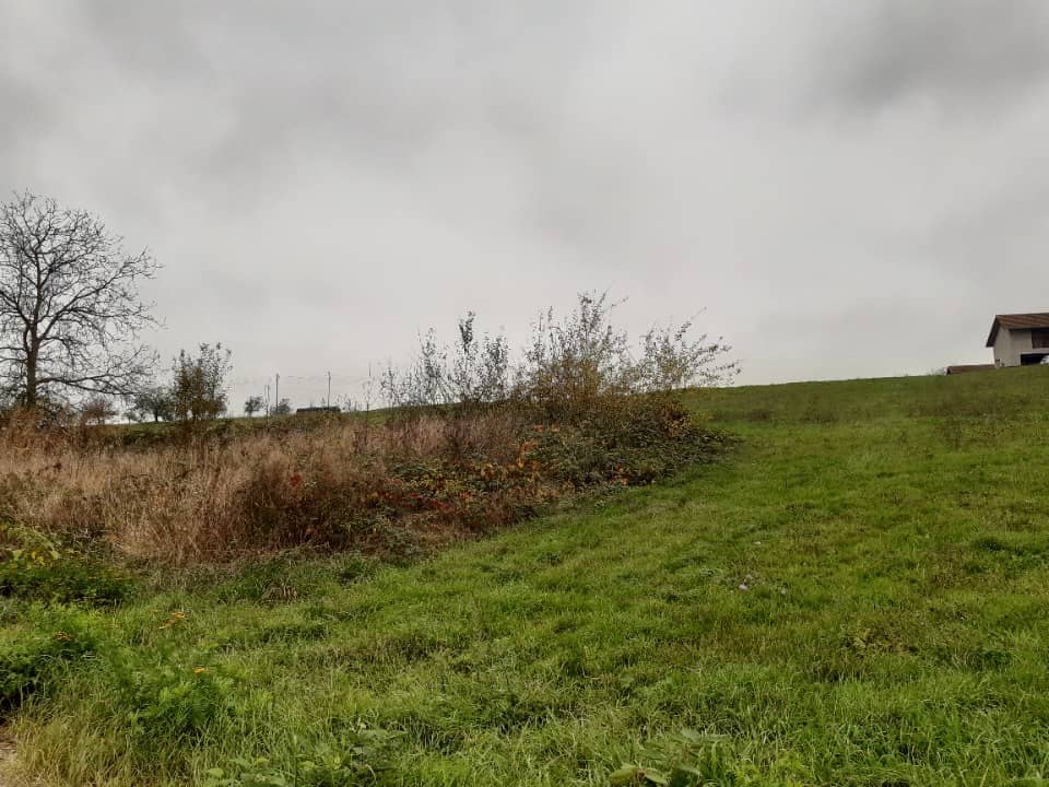 Terrain - Terrain à bâtir Zinswiller (67110) à Zinswiller, prix 88 000 €