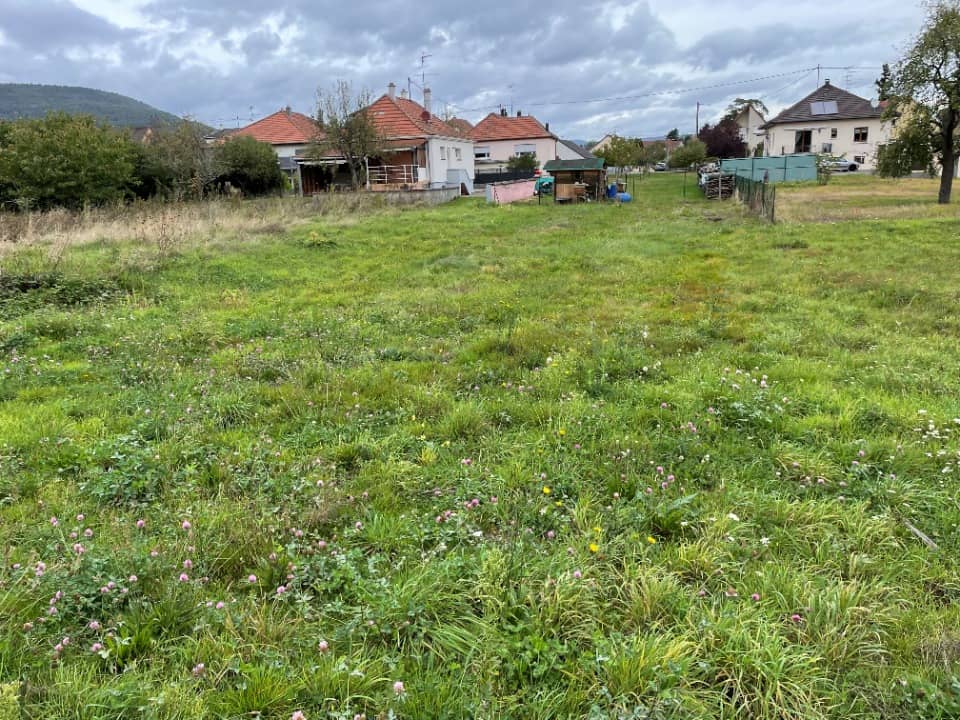 Terrain - Terrain à bâtir Issenheim (68500) à Issenheim, prix 108 600 €