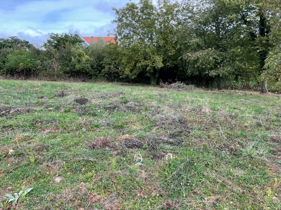 Terrain - Terrain à bâtir Osenbach (68570) à Osenbach (68), prix 88 000 €