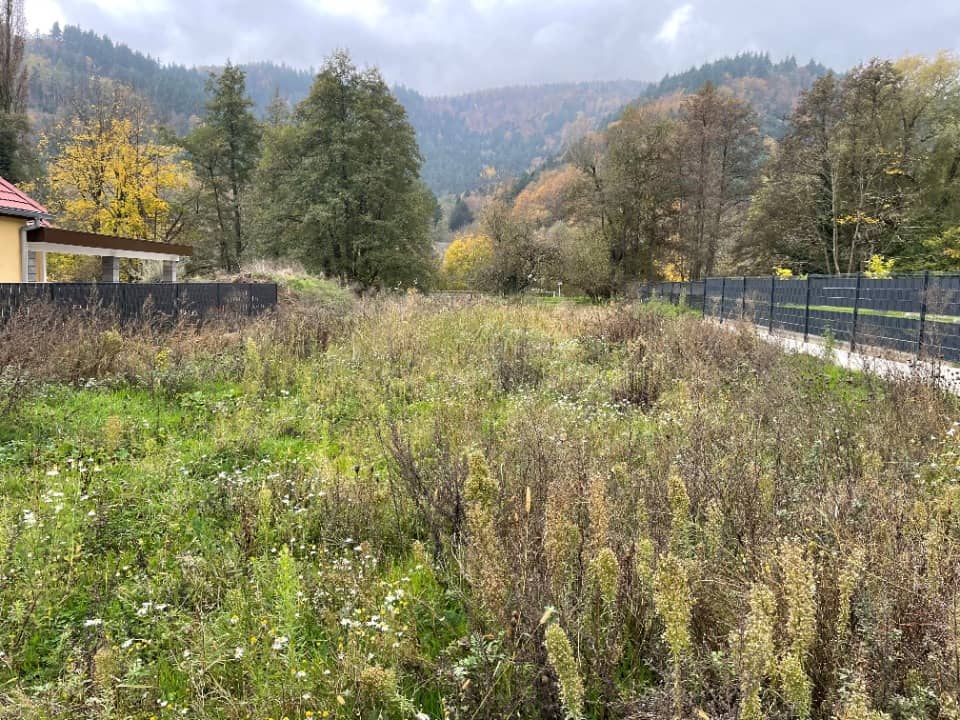 Terrain - Terrain à bâtir Lautenbach (68610) à Lautenbach, prix 90 000 €