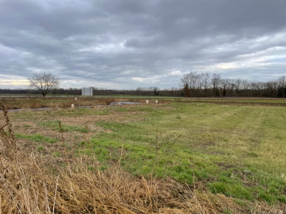 Terrain - Terrain à bâtir Niederhergheim (68127) à Niederhergheim (68), prix 83 500 €