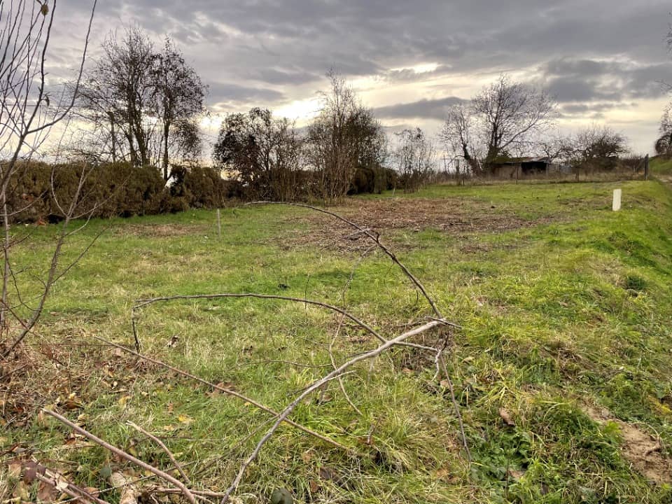 Terrain - Terrain à bâtir Eguisheim (68420) à Eguisheim (68), prix 180 000 €