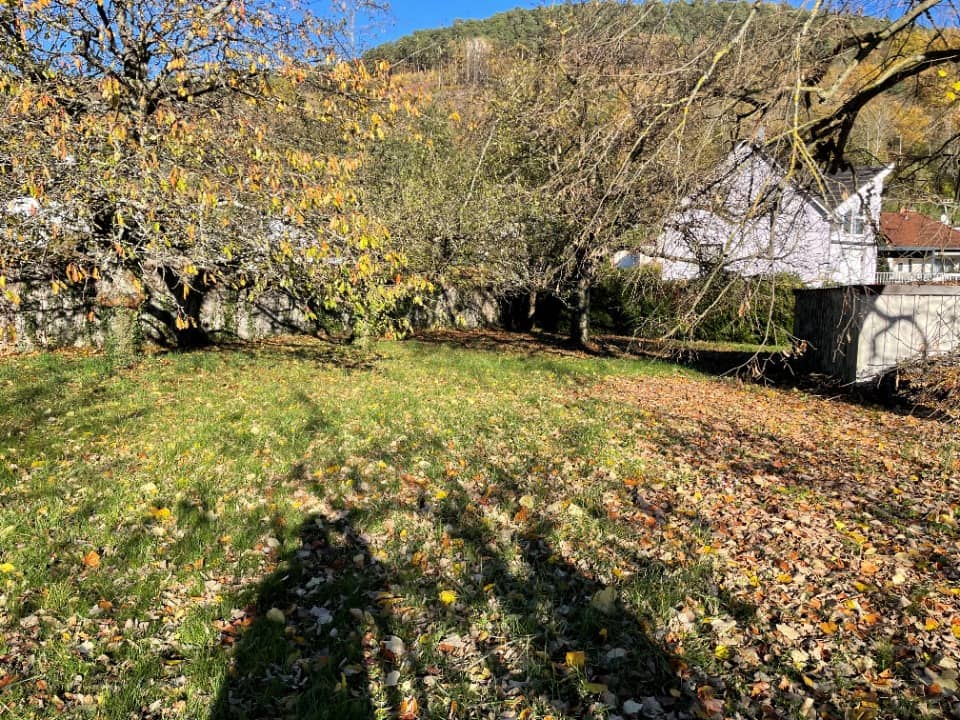 Terrain - Terrain à bâtir Buhl (68530) à Buhl, prix 92 000 €