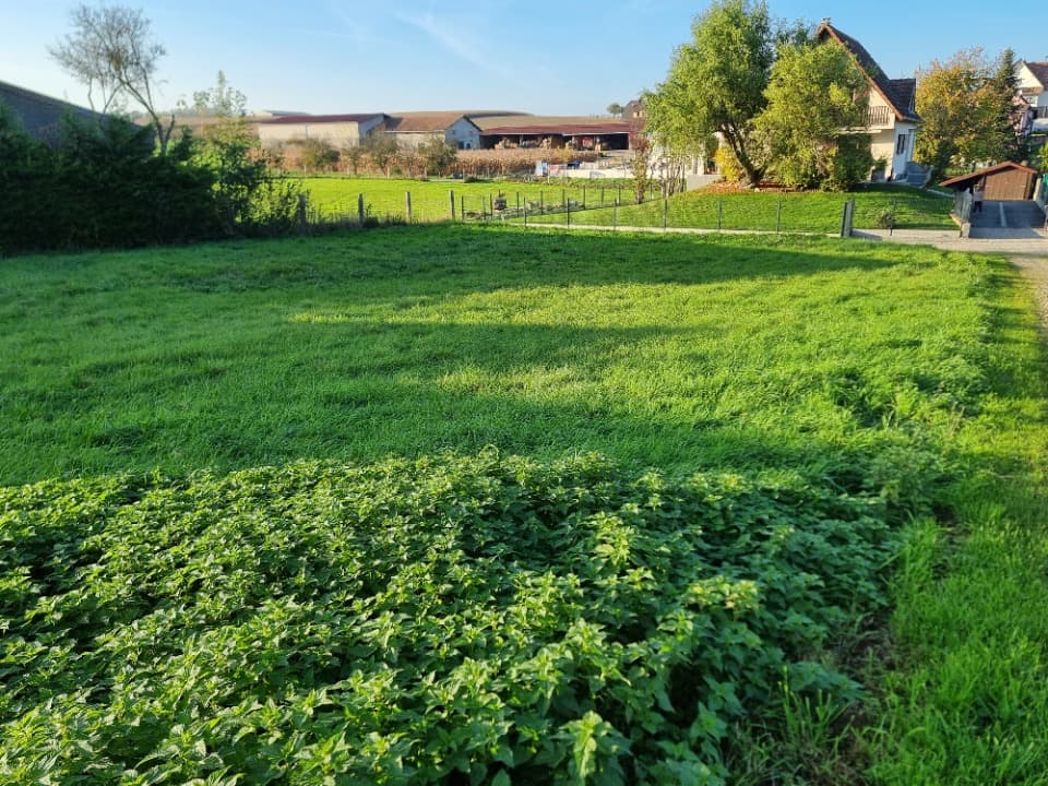 Terrain - Terrain à bâtir Rantzwiller (68510) à Rantzwiller (68), prix 255 033 €
