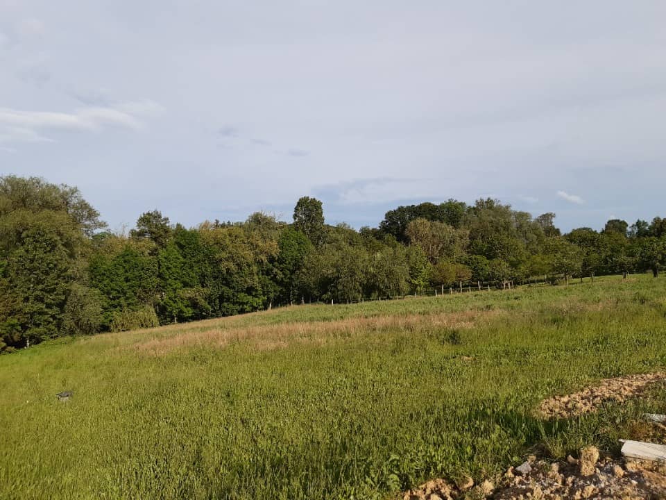 Terrain - Terrain à bâtir Ruederbach (68560) à Ruederbach, prix 84 000 €