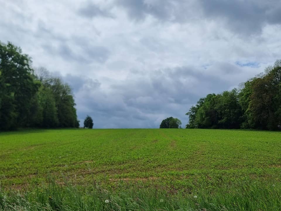 Terrain - Terrain à bâtir Wentzwiller (68220) à Wentzwiller, prix 165 000 €