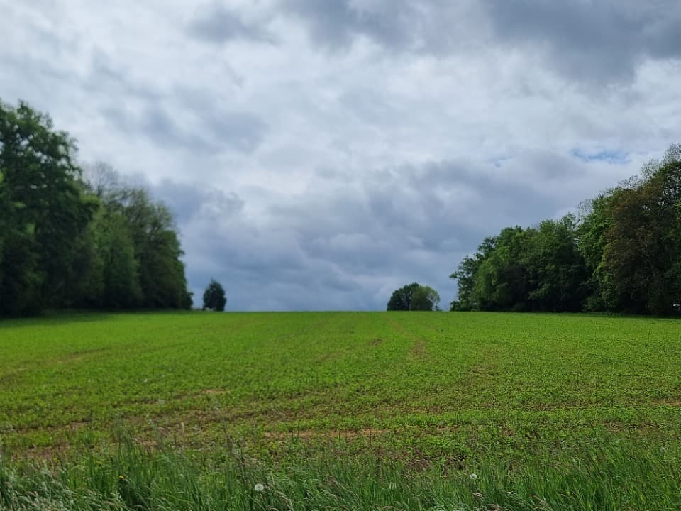 Terrain - Terrain à bâtir Wentzwiller (68220) à Wentzwiller (68), prix 165 000 €