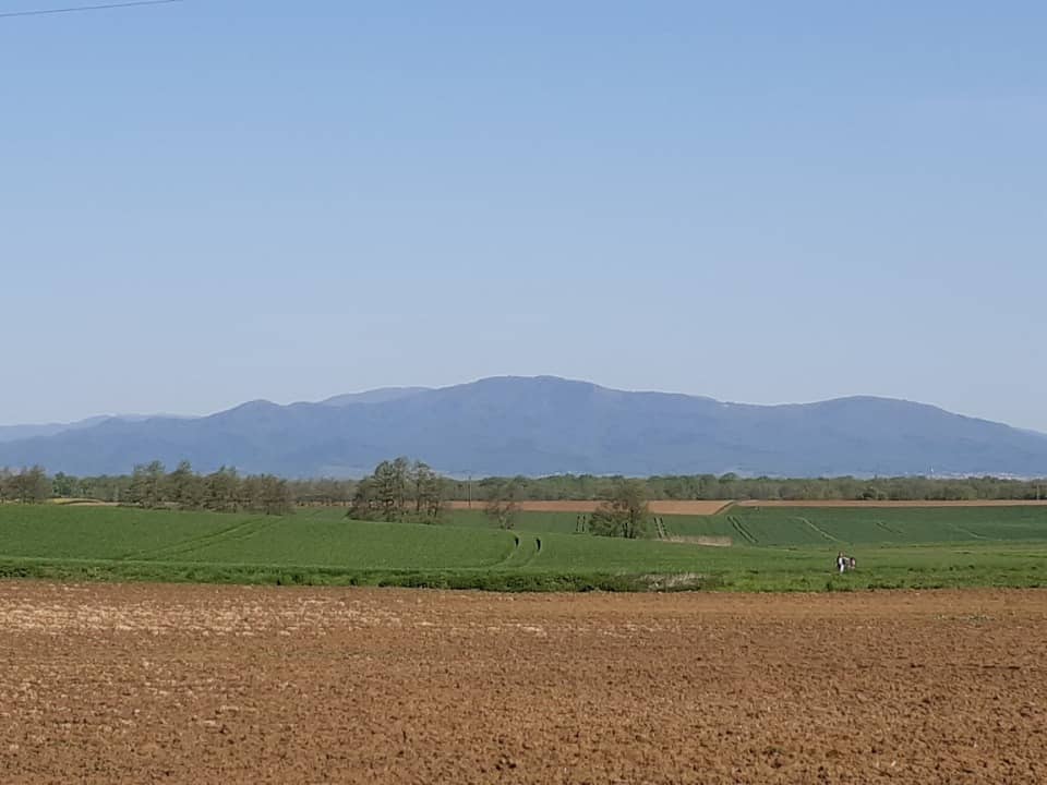 Terrain - Terrain à bâtir Galfingue (68990) à Galfingue, prix 150 639 €