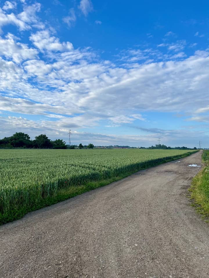 Terrain - Terrain à bâtir Kertzfeld (67230) à Kertzfeld, prix 151 000 €