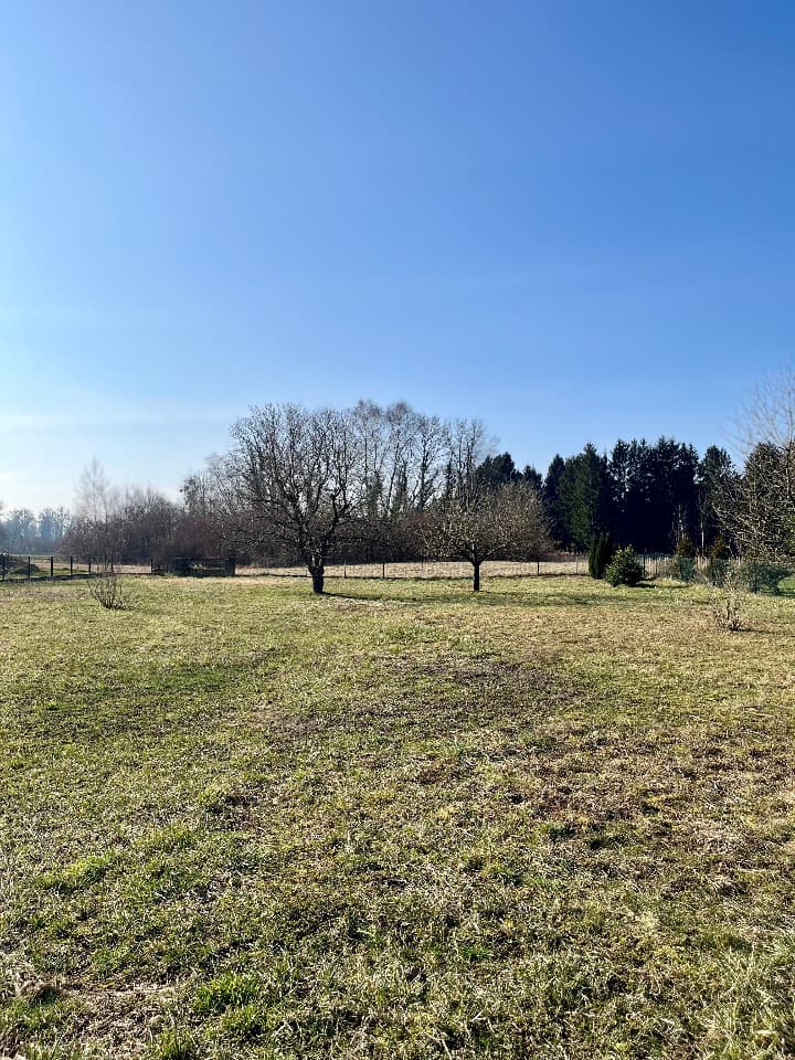 Terrain - Terrain à bâtir Daubensand (67150) à Daubensand (67), prix 136 000 €