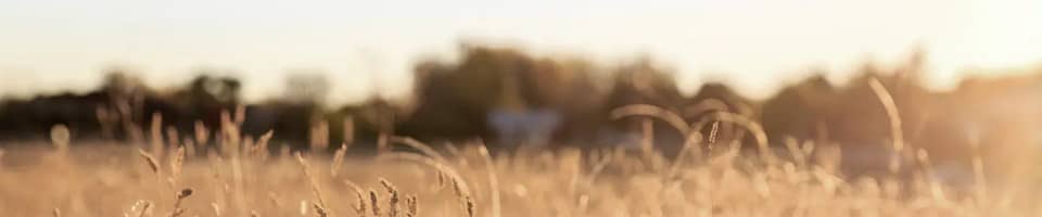 Terrain - Terrain à bâtir Meilhan-sur-Garonne (47180) à Meilhan-sur-Garonne (47), prix 48 000 €