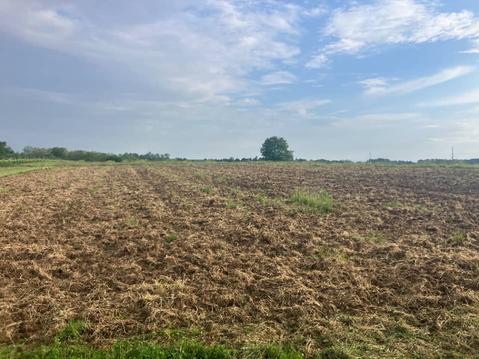 Terrain - Terrain à bâtir Saint-Sève (33190) à Saint-Sève (33), prix 55 000 €