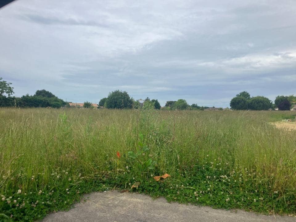 Terrain - Terrain à bâtir Meilhan-sur-Garonne (47180) à Meilhan-sur-Garonne (47), prix 34 000 €