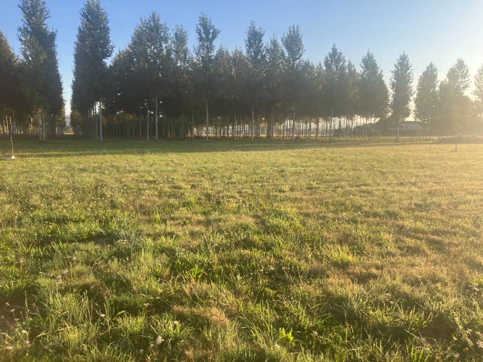 Terrain - Terrain à bâtir Beaupuy (47200) à Beaupuy (47), prix 45 000 €