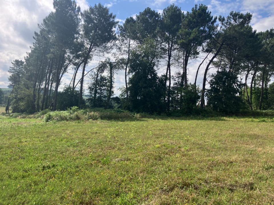 Terrain - Terrain à bâtir Casteljaloux (47700) à Casteljaloux (47), prix 28 000 €