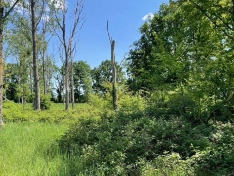 Terrain - Terrain à bâtir Saint-Léon (47160) à Saint-Léon (47), prix 30 000 €