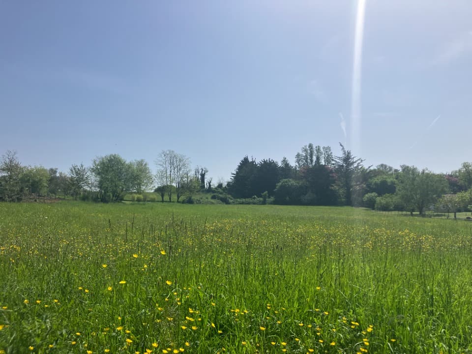 Terrain - Terrain à bâtir Birac-sur-Trec (47200) à Birac-sur-Trec (47), prix 39 000 €