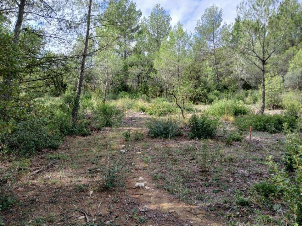 Terrain - Terrain à bâtir Assas (34820) à Assas (34), prix 210 000 €