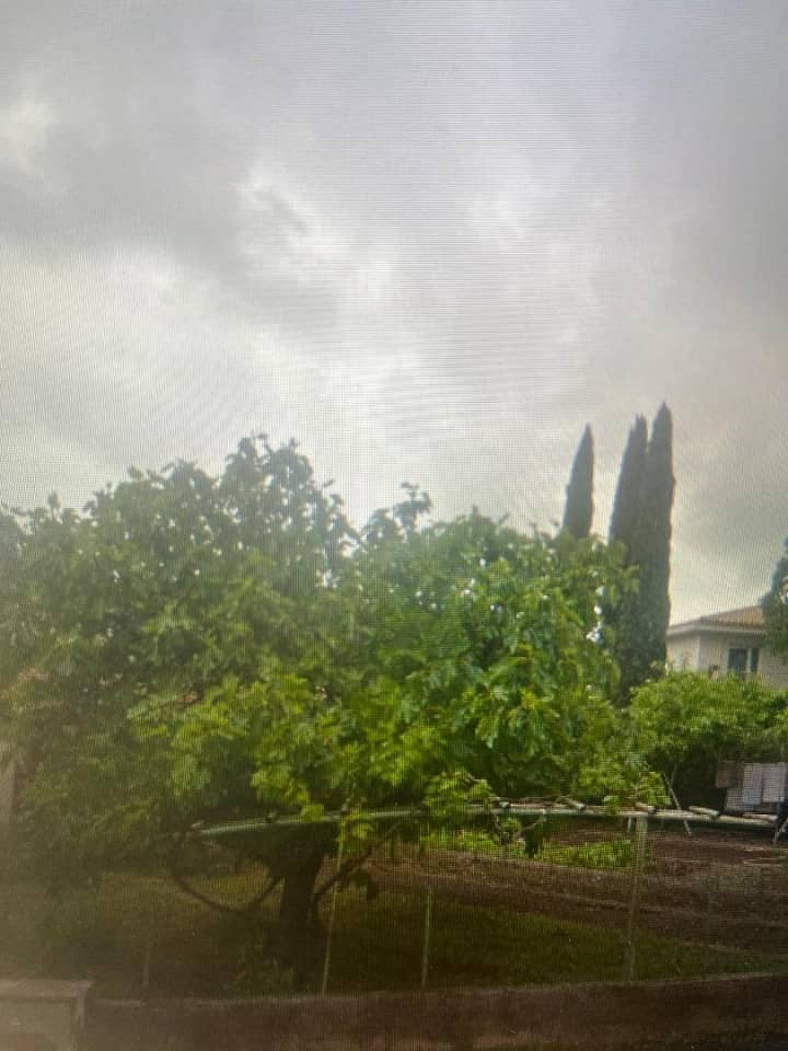 Terrain - Terrain à bâtir Juvignac (34990) à Juvignac (34), prix 185 000 €