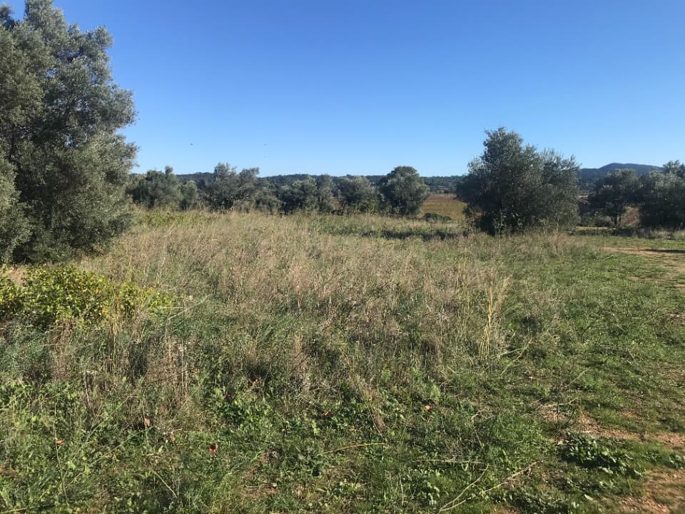 Terrain - Terrain à bâtir () à Loupian (34), prix 220 000 €