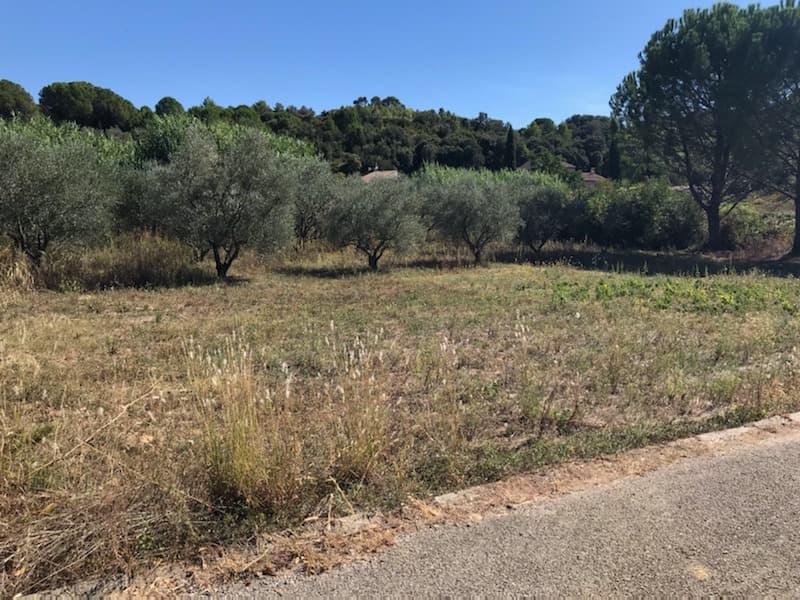 Terrain - Terrain à bâtir Valflaunès (34270) à Valflaunès (34), prix 221 000 €