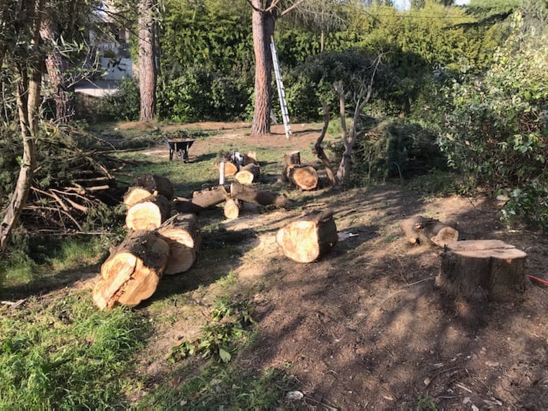 Terrain - Terrain à bâtir () à Prades-le-Lez (34), prix 230 000 €