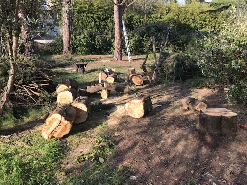 Terrain - Terrain à bâtir Juvignac (34990) à Juvignac (34), prix 199 000 €