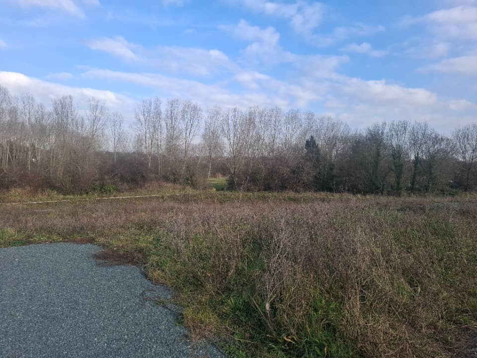 Terrain - Terrain à bâtir Vaux-sur-Mer (17640) à Vaux-sur-Mer (17), prix 203 000 €