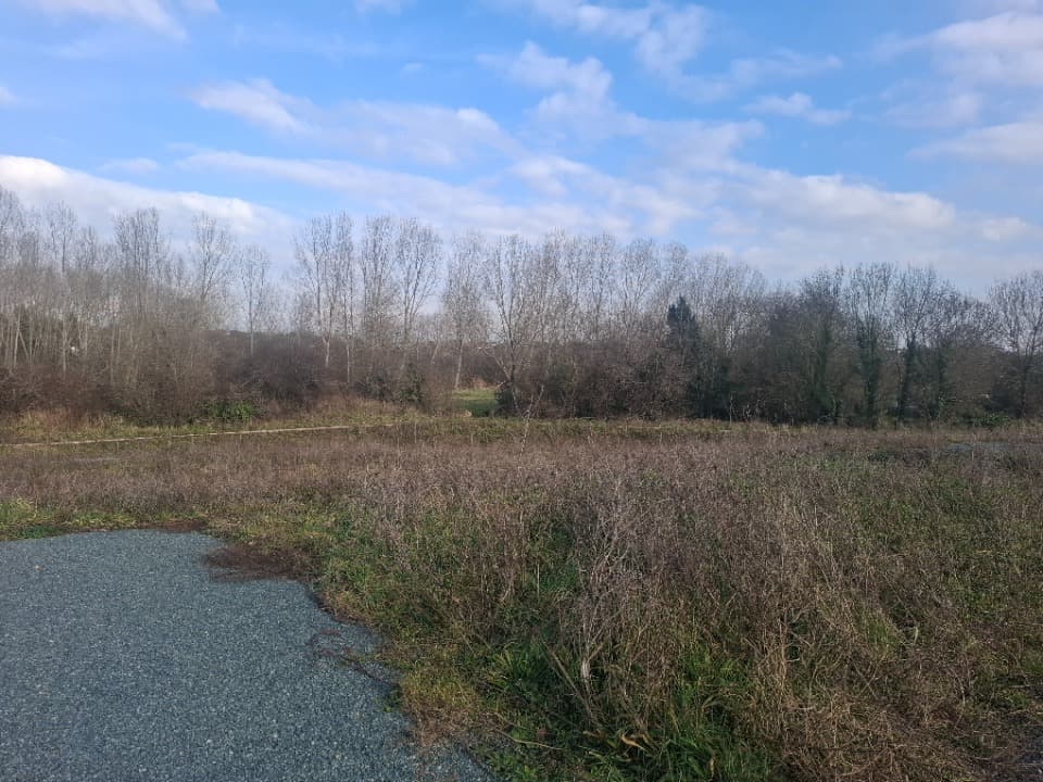 Terrain - Terrain à bâtir Vaux-sur-Mer (17640) à Vaux-sur-Mer (17), prix 203 000 €
