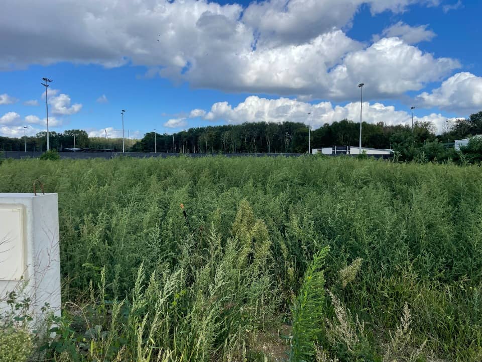 Terrain - Terrain à bâtir () à Choisy-au-Bac (60), prix 84 000 €