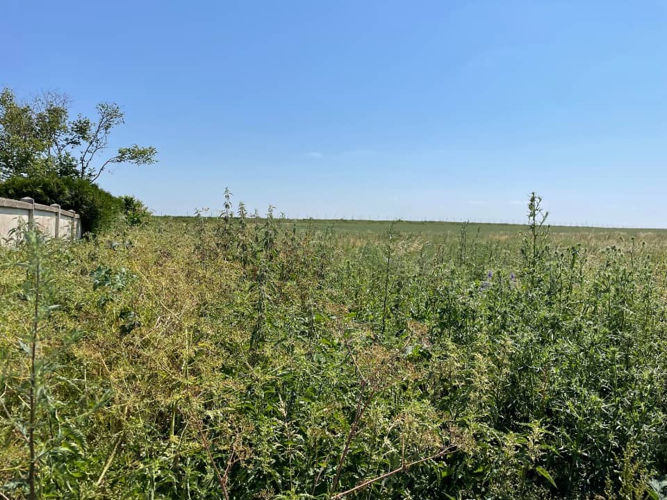 Terrain - Terrain à bâtir () à Gondreville, prix 110 000 €