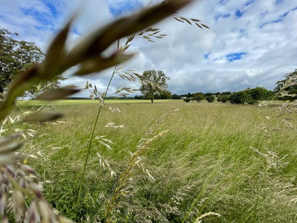 Terrain - Terrain à bâtir () à Gondreville (60), prix 90 000 €