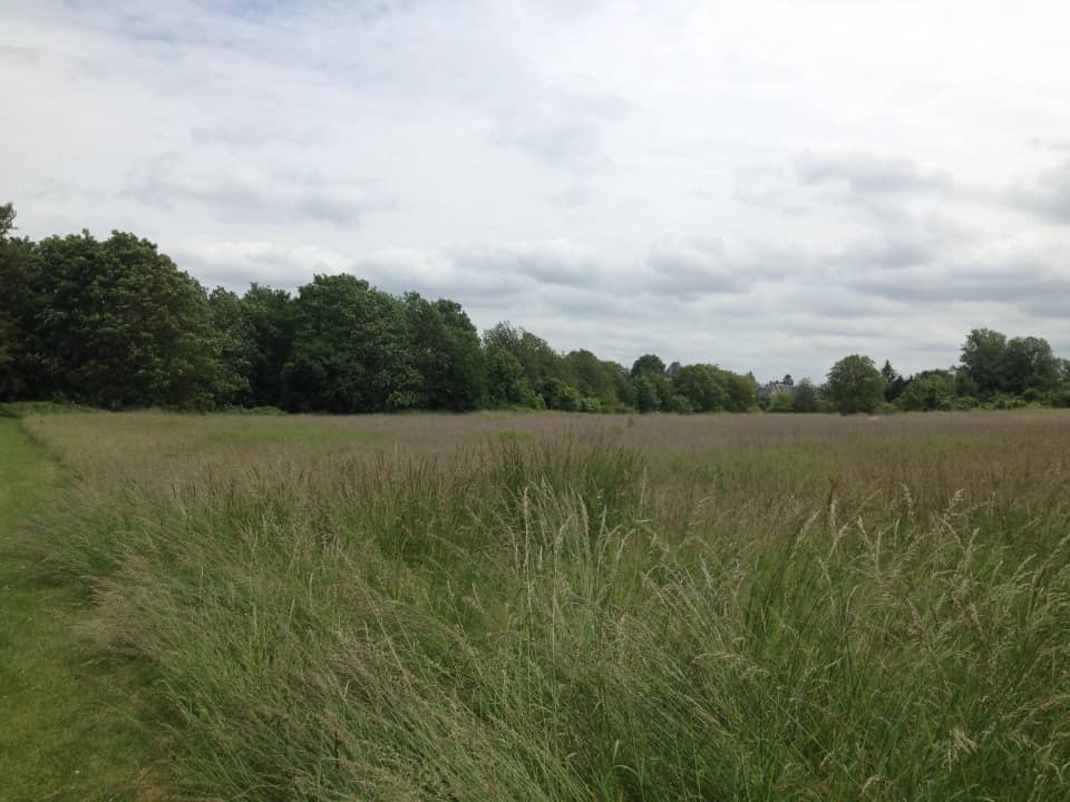 Terrain - Terrain à bâtir Pontarmé (60520) à Pontarmé, prix 142 500 €