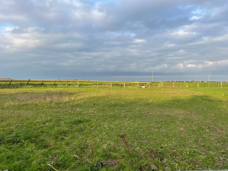 Terrain - Terrain à bâtir Saint-Just-en-Chaussée (60130) à Saint-Just-en-Chaussée, prix 53 000 €